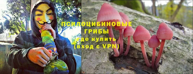 купить закладку  Семилуки  Псилоцибиновые грибы MAGIC MUSHROOMS 